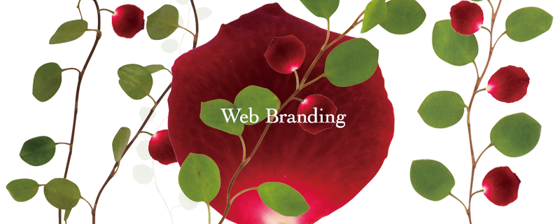 Branding High quality Web solution